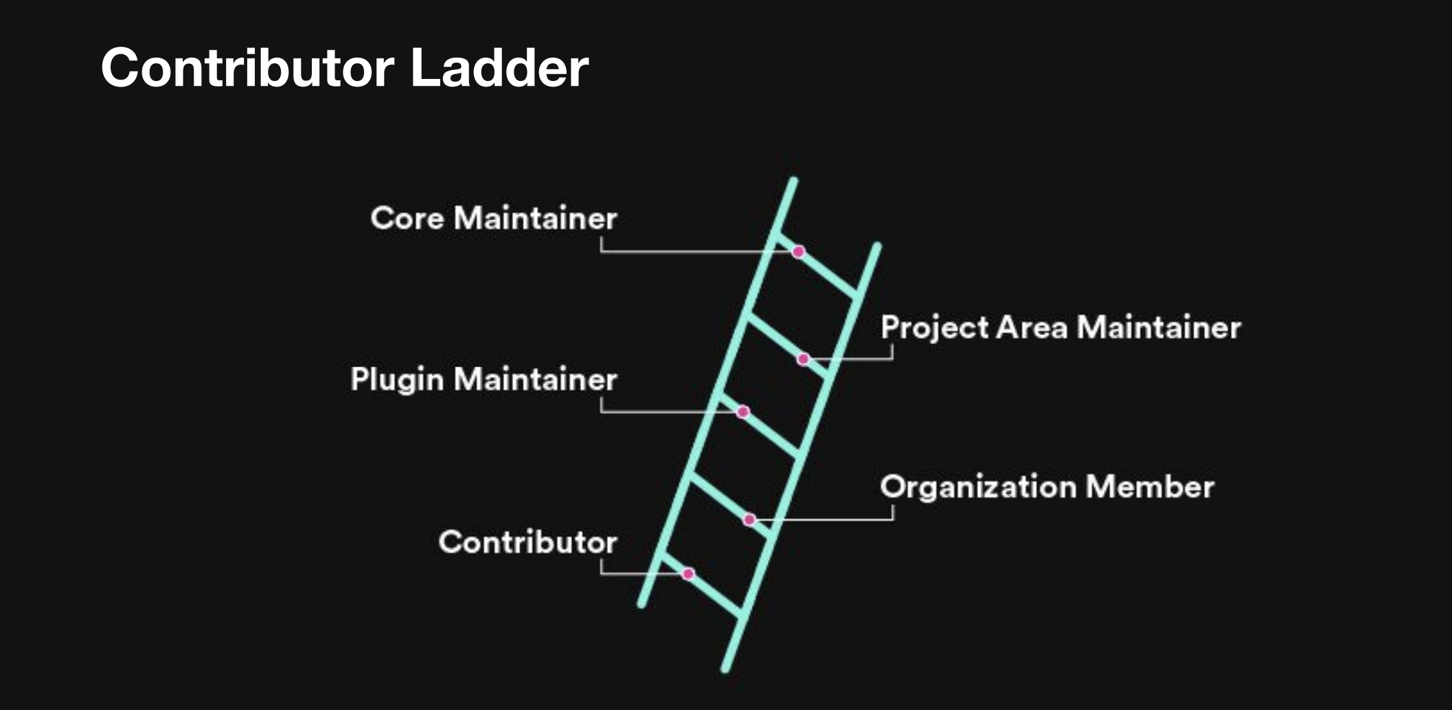 Contributor ladder