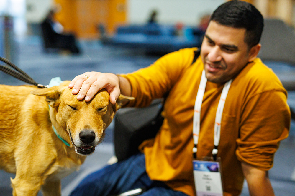 A yellow pup squinting while getting pets from an attendee in a yellow shirt